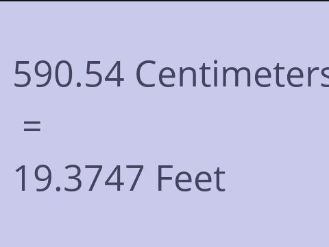 590.54 CM TO FEET