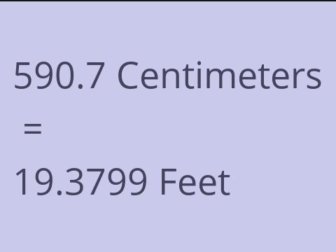 590.7 CM TO FEET