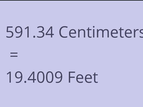 591.34 CM TO FEET