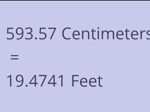 593.57 CM TO FEET