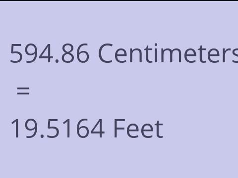 594.86 CM TO FEET