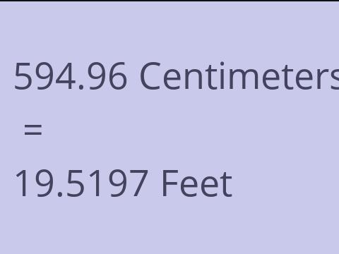 594.96 CM TO FEET