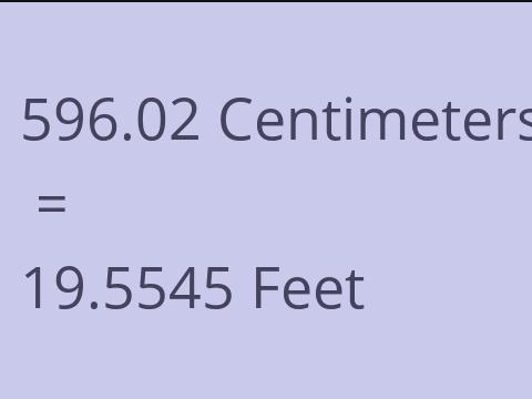 596.02 CM TO FEET