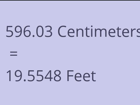 596.03 CM TO FEET