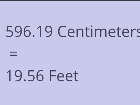 596.19 CM TO FEET