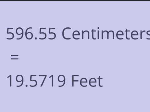 596.55 CM TO FEET