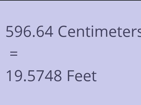 596.64 CM TO FEET