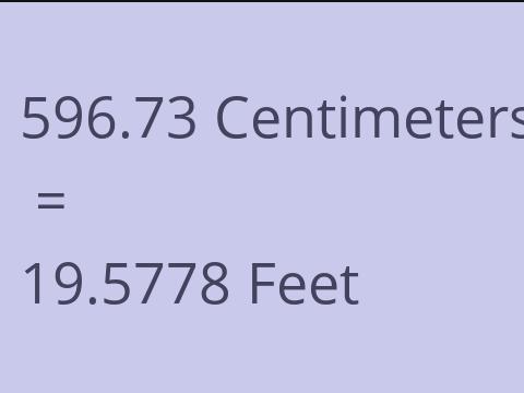 596.73 CM TO FEET