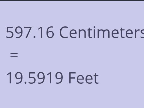 597.16 CM TO FEET