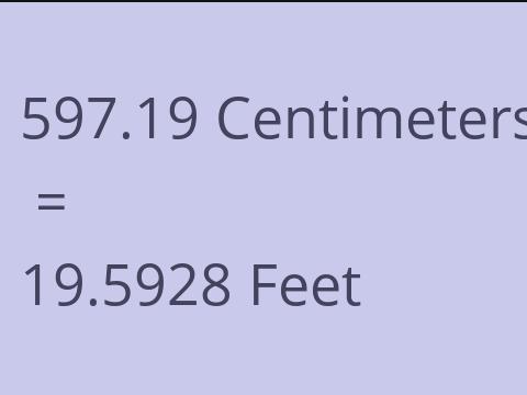 597.19 CM TO FEET