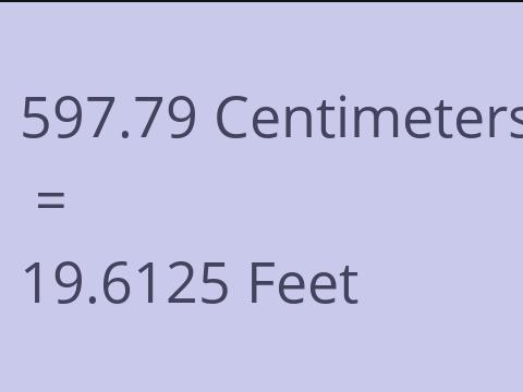 597.79 CM TO FEET