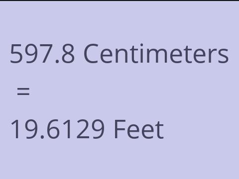 597.8 CM TO FEET