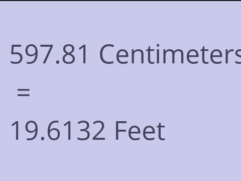 597.81 CM TO FEET