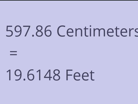 597.86 CM TO FEET