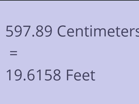 597.89 CM TO FEET