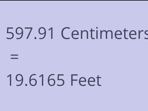 597.91 CM TO FEET