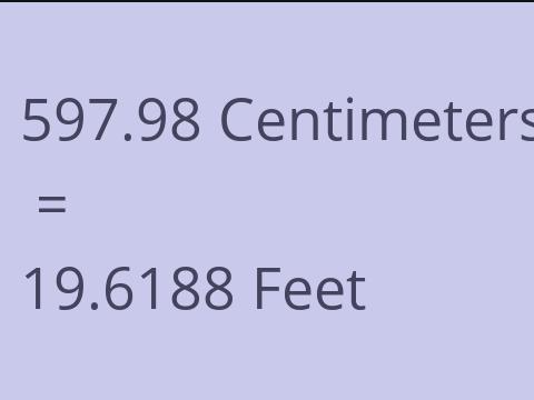 597.98 CM TO FEET