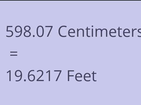 598.07 CM TO FEET