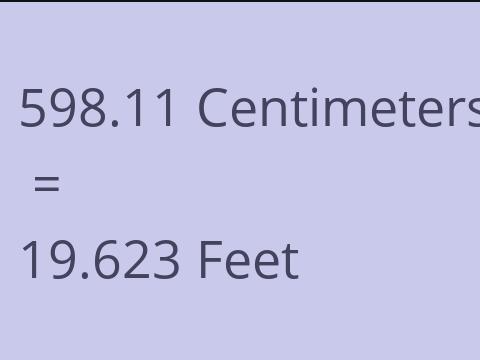 598.11 CM TO FEET