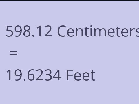 598.12 CM TO FEET