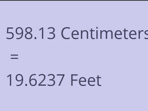 598.13 CM TO FEET