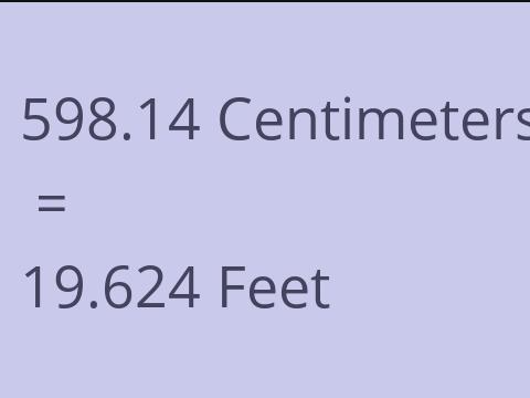 598.14 CM TO FEET