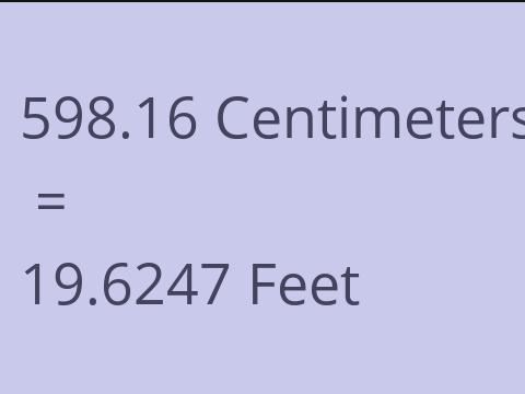 598.16 CM TO FEET