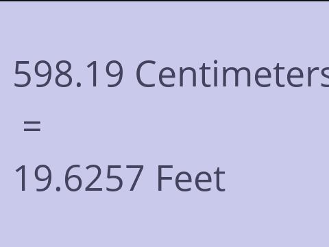 598.19 CM TO FEET