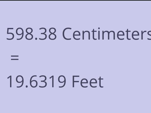 598.38 CM TO FEET