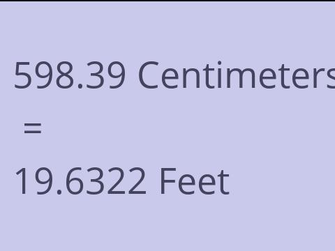 598.39 CM TO FEET