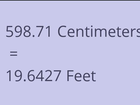 598.71 CM TO FEET