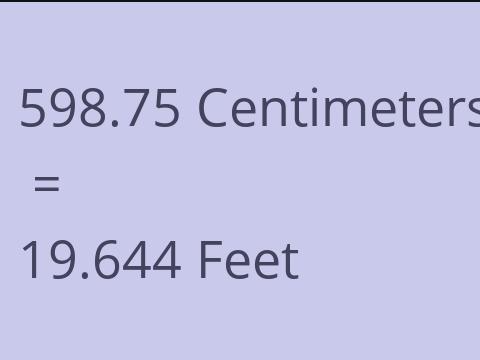 598.75 CM TO FEET