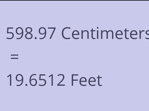 598.97 CM TO FEET