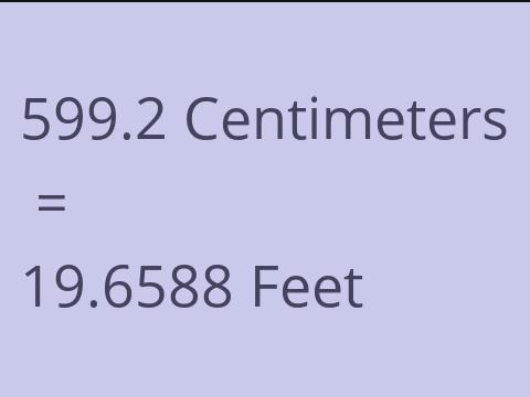 599.2 CM TO FEET