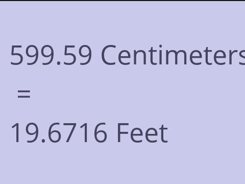 599.59 CM TO FEET