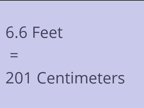 6.6 FEET TO CM