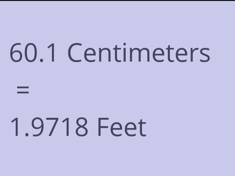 60.1 CM TO FEET