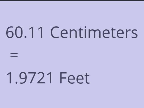 60.11 CM TO FEET