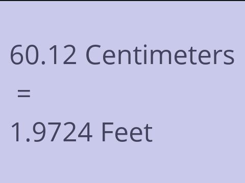 60.12 CM TO FEET