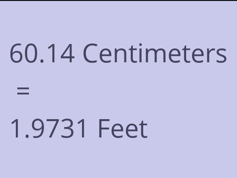 60.14 CM TO FEET