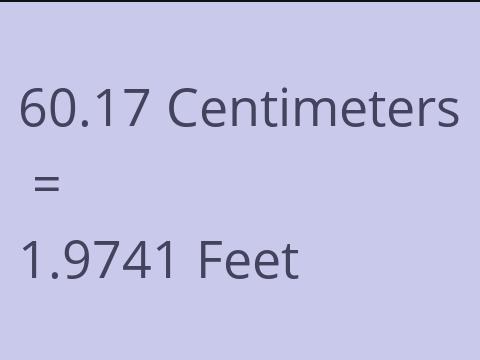 60.17 CM TO FEET