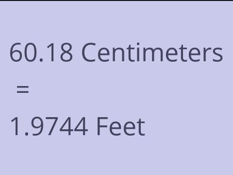 60.18 CM TO FEET