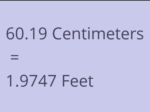 60.19 CM TO FEET