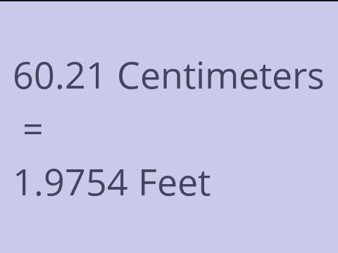 60.21 CM TO FEET