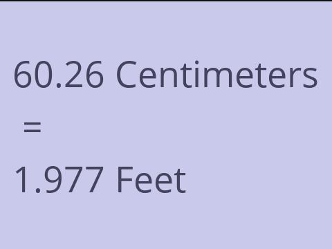 60.26 CM TO FEET