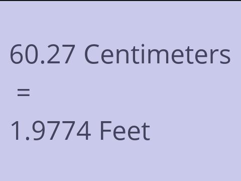 60.27 CM TO FEET