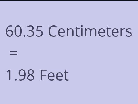 60.35 CM TO FEET