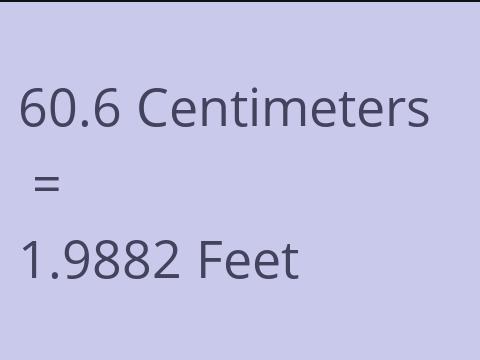 60.6 CM TO FEET