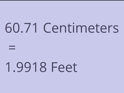 60.71 CM TO FEET