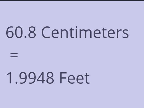 60.8 CM TO FEET